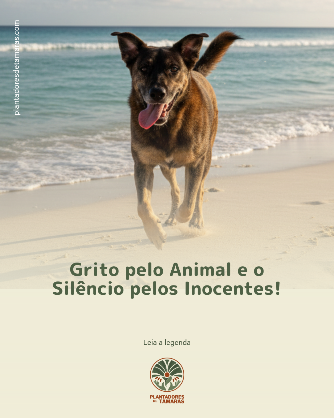 Grito pelo Animal e o Silêncio pelos Inocentes!