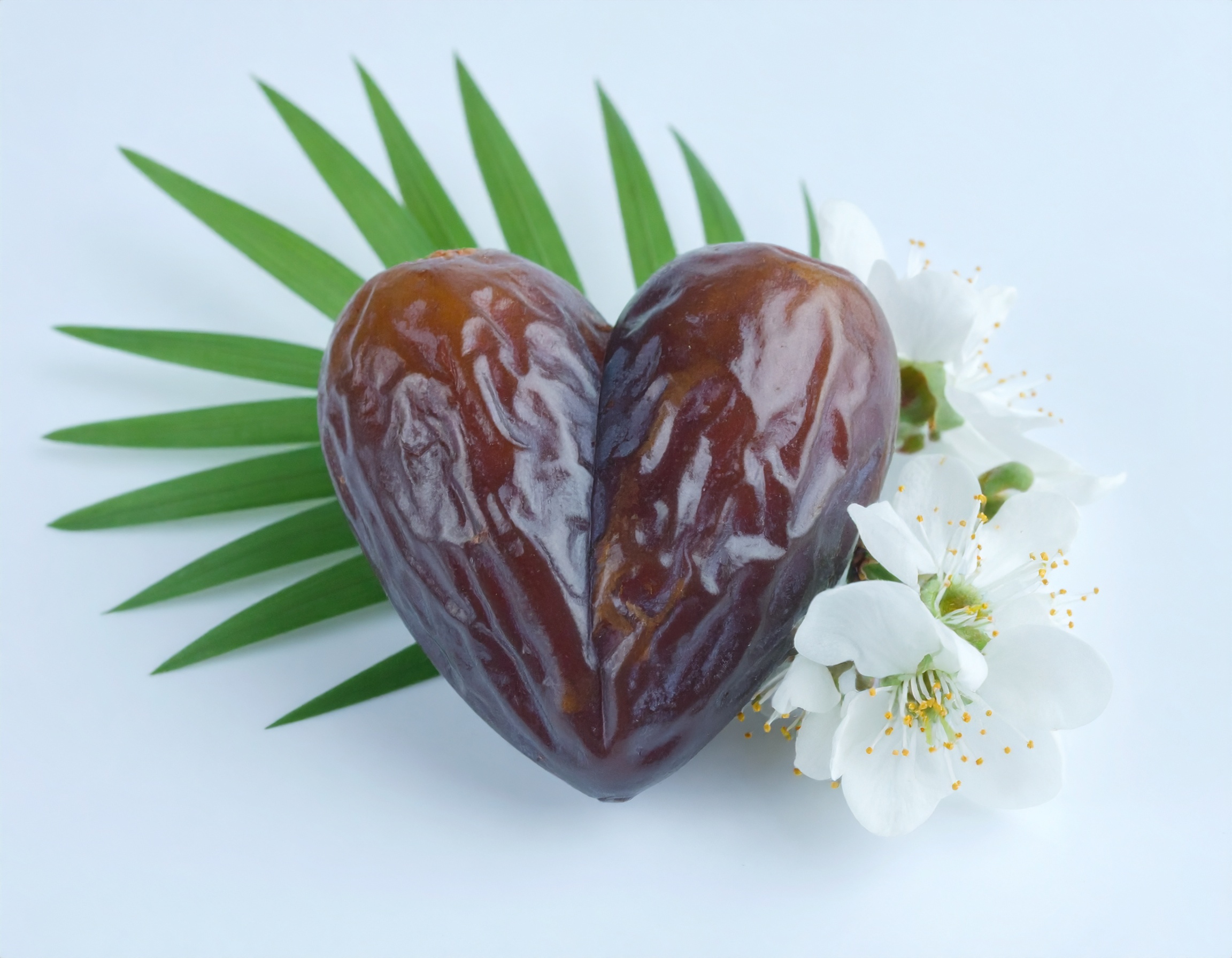 Paz: Não se Cultiva o Futuro com Raízes de Ódio.