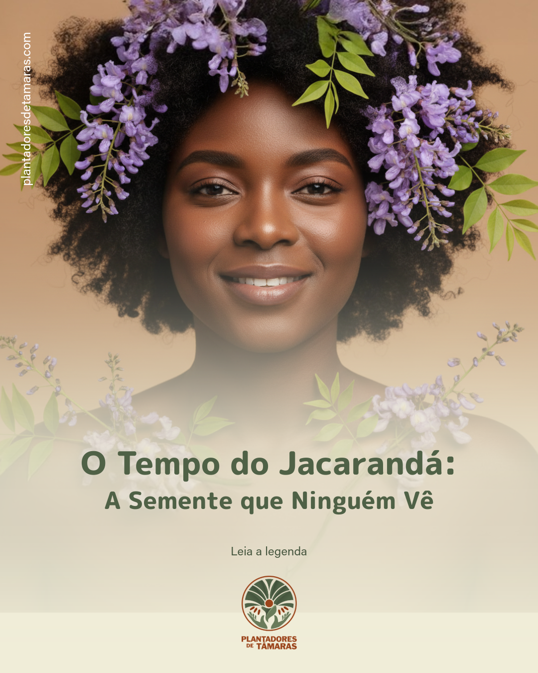 O Tempo do Jacarandá: A Semente que Ninguém Vê