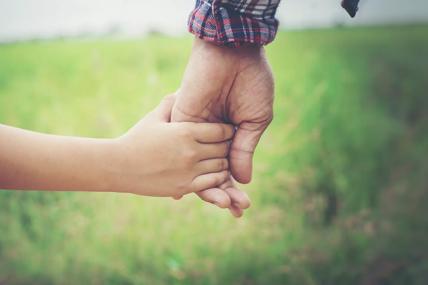 O Tempo, a Família, a Educação e a Participação